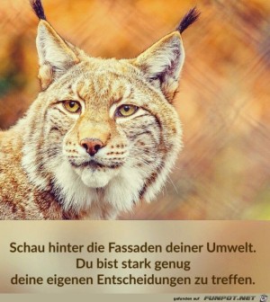 Eigene-Entscheidungen-treffen.jpg auf www.funpot.net