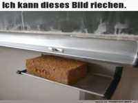 Man kann den Tafelschwamm riechen