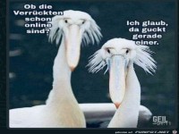 Ob die Verr�ckten schon online sind ?