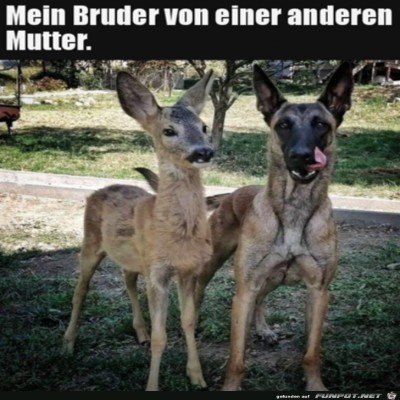 Mein-Bruder.jpg von Luis