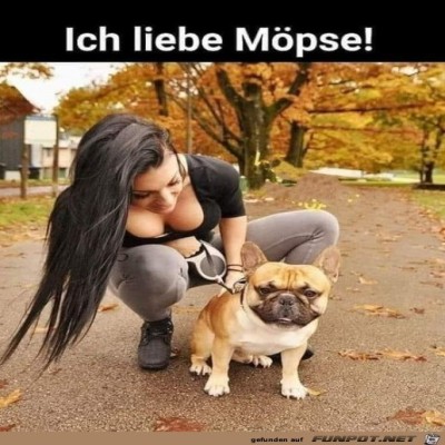 M&ouml;pse.jpg von Sweetheart