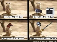 Erdm�nnchen