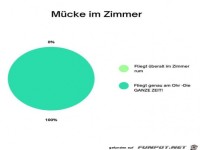 Wenn eine M�cke im Zimmer ist