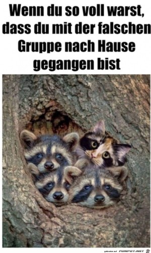Falsche-Gruppe.jpg auf www.funpot.net