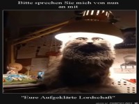 Aufgekl�rte Lordschaft