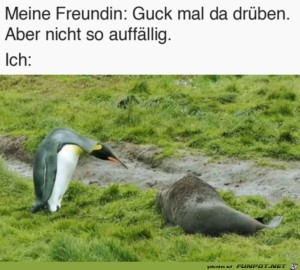 Guck-mal-unaufflig.jpg auf www.funpot.net