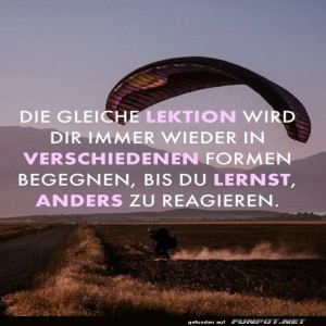 herz-Bild: Die gleiche Lektion