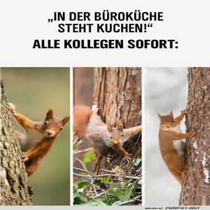 fun-Bild: Kuchenalarm im B&uuml;ro!