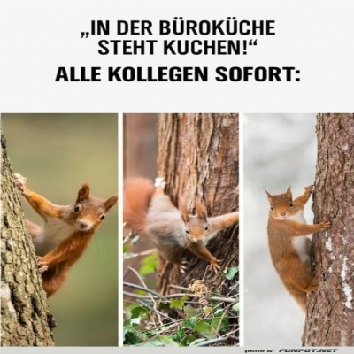 Kuchenalarm-im-Büro!.jpg von Felia-1998