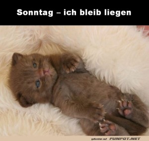 Sonntag.jpg auf www.funpot.net