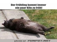 Fr�hjahrsdi�t: Katze in Vorbereitung!