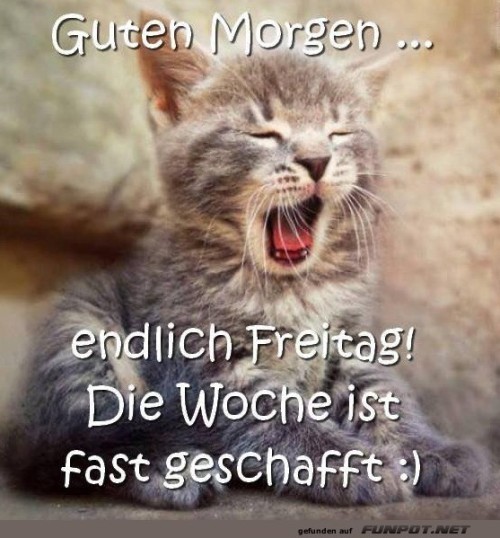 guten-Morgen-am-Freitag.jpg auf www.funpot.net