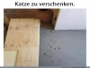 weiter