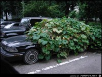 der steht da schon lange