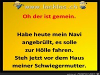 immer die armen Schwiegermuetter