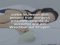 Liebe ist