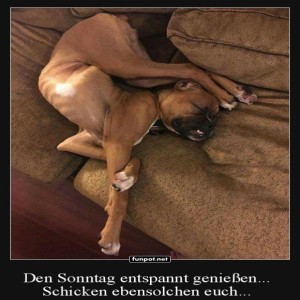 Begrüßungsbild