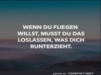 wenn du fliegen willst