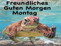 Guten Morgen