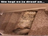 Sie wartet ja nur drauf, dass jemand auf sie drauf tritt