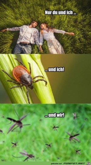 Leider-nicht-ganz-alleine.jpg auf www.funpot.net