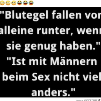 Blutegel.jpg von Keule56