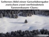 Geisel�bergabe