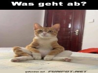 Was geht ab?