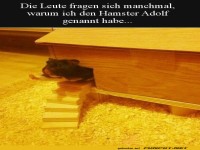 Hamster mit ungewhnlichem Namen