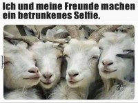 Ziegenselfie mit Freunden