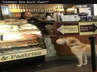 Hund mit Weidenkorb beim B�cker
