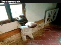 Kleinkind hilft Katze beim Fensterblick