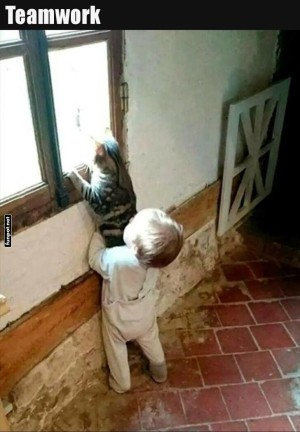 Kleinkind-hilft-Katze-beim-Fensterblick.jpg auf www.funpot.net