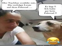 Kein Fahrrad, keine Probleme!