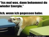 Essen und dann das Sofa erobern!