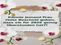 Frau Holles Arbeits�berlastung