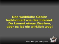 Das weibliche Gehirn funktioniert wie das Internet