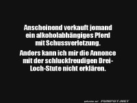 Einmalige Pferdeanzeige entdeckt!