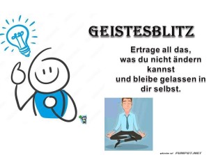 Nr.-11-Geistesblitz.jpg auf www.funpot.net