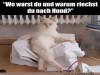 weiter