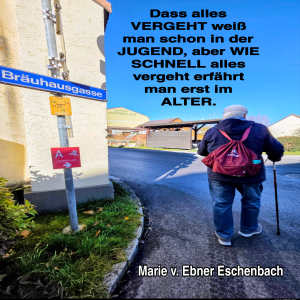 dass-alles-vergeht.png von Fabioma