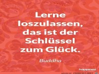 IMG 1149002942699475