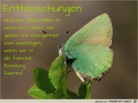 Entttuschungen sind nur...