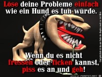 Loese deine Probleme einfach