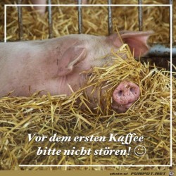 Bitte-nicht-stoeren.jpg auf www.funpot.net