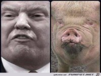 Wer von beiden ist der Pr�sident??