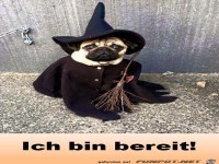 Halloween bin bereit