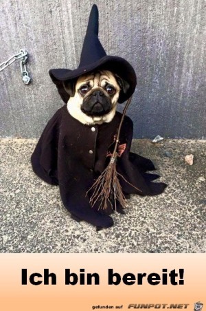 Halloween-bin-bereit.jpg auf www.funpot.net