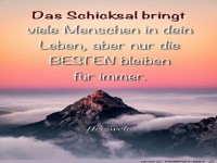 Das Schicksal bringt...