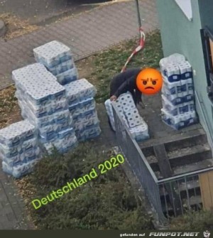 Klopapier-Hamster.jpg auf www.funpot.net